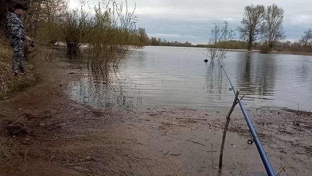 Созоновская прорва. 9 мая, разведка после зимы.