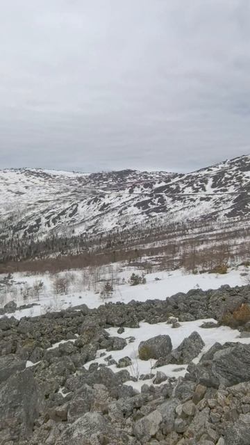лайки уральские горы