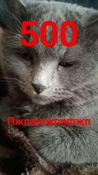 надеюсь есть на земле добрые люди