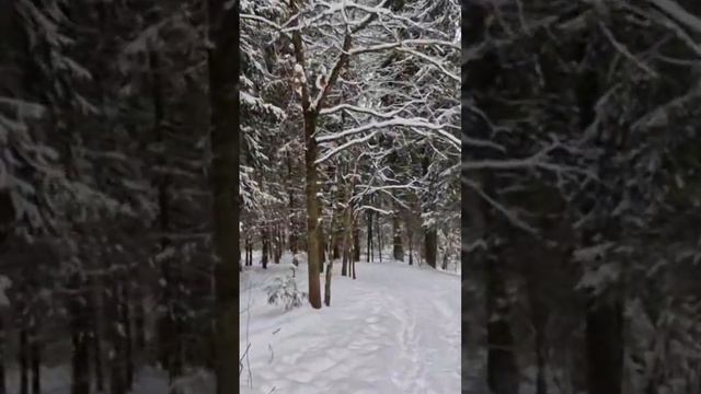 Зимняя сказка