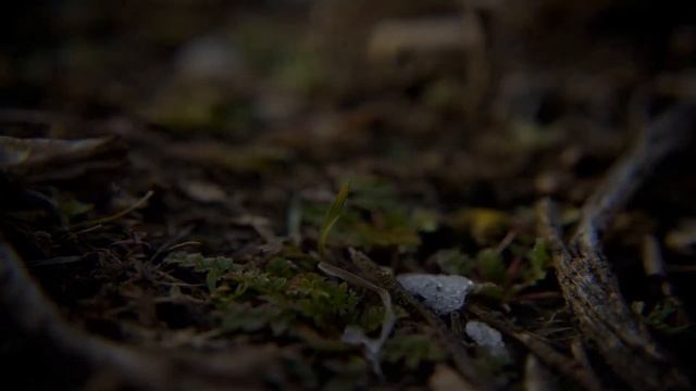СЕКРЕТ ЗАКРЫТЫХ ДВЕРЕЙ! Страшные Истории На Ночь  | Serial
