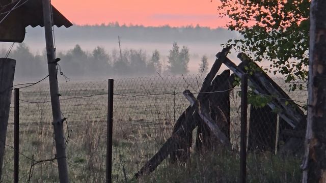 Пустошка в 4 утра