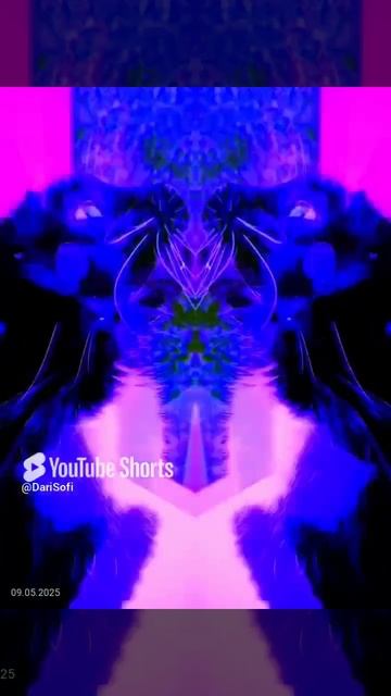 VID_20250509184636