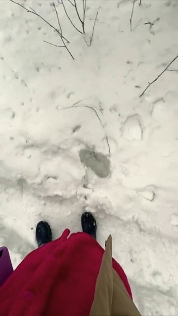 😁вот такая Мама!🥹 Диана Анкудинова #dianaankudinova #дианаа?