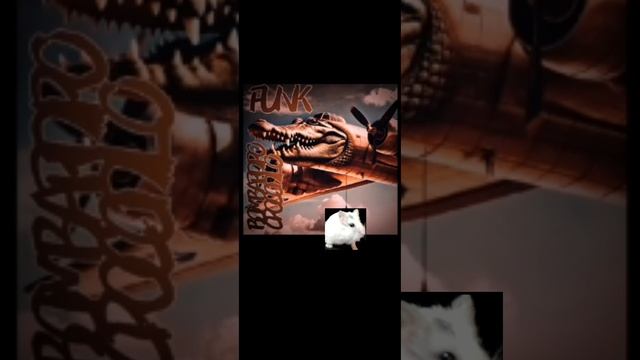 Бомбордиро крокодило Фонк☠️ (хомяш)