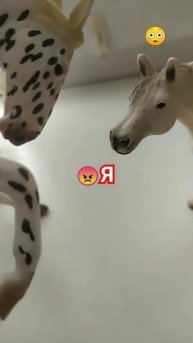 Ну а что у кого есть тоже сёстры