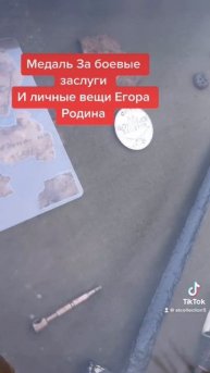 Медаль За боевые заслуги Егора Родина