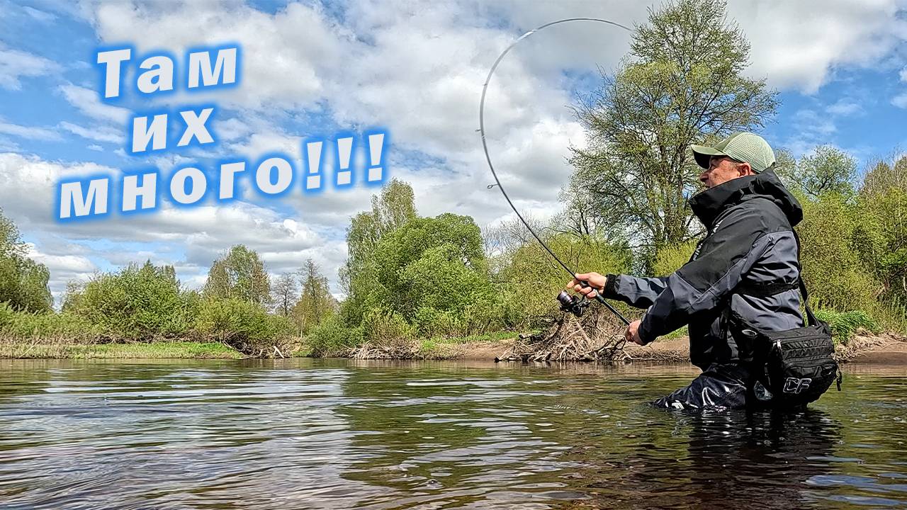 ОТКРЫТИЕ ВЕЙДЕРСНОГО СЕЗОНА!!! ПРОБИВАЕМ ЛУЧШИЕ ПЕРЕКАТЫ!!!