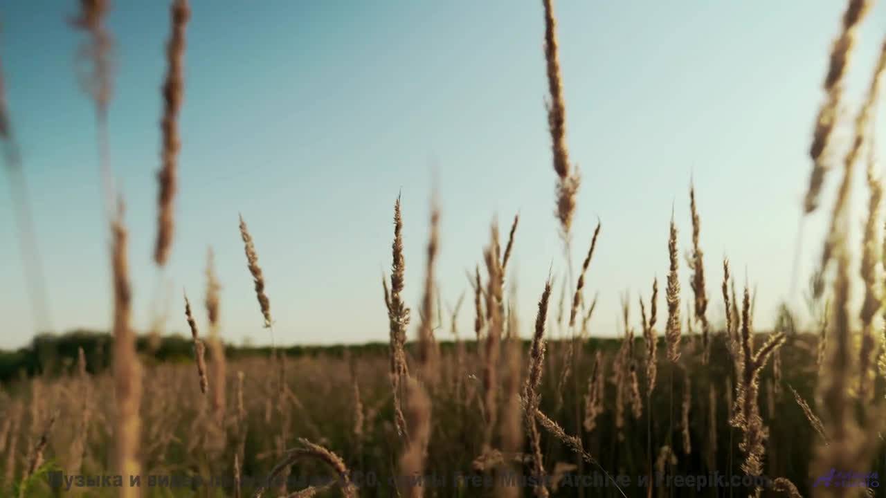 Горы, гром и ритм, который заставляет сердце колотиться! - Unconscious -- selfpity -- Unhappy Though