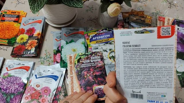 Что сажать в огороде в этом сезоне часть (3)