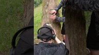 Пацаны херачат драм на пальме