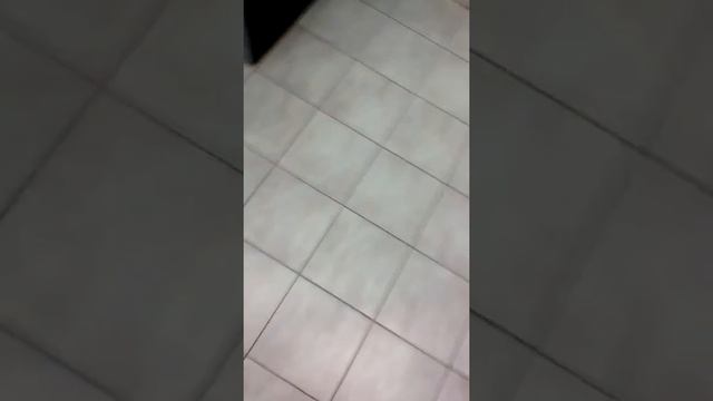 Спорт комплекс .штат лобаново