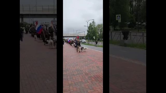 День Победы, г. Калининград, 9 мая 2025 г.