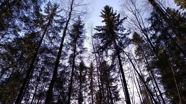 Мы всегда всё знаем.Можно так подумать.Гипер борец.Объ