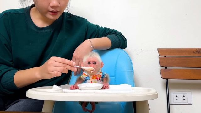 Обезьянка БУКАШКА крошка Пищит просит кушать Ест кашку с овощами Мама приготовила
