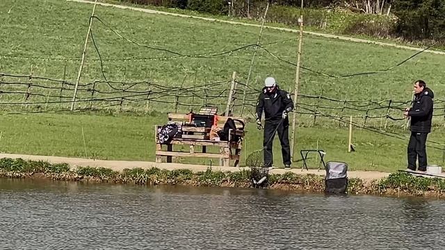 Утренние поимки на водоеме