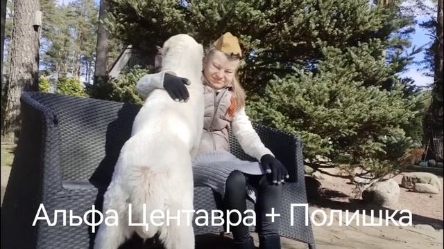 С праздником Победы!