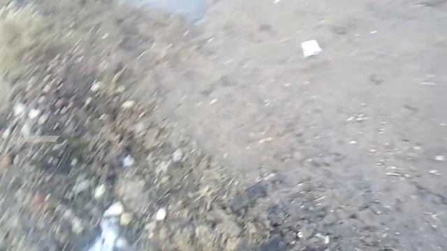 Отличная погода на 2