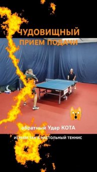 #shorts прием подачи обратный Удар КОТА ЧУДОВИЩНЫЙ насто?