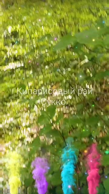 Кипарисовый рай СуккоГрадъ