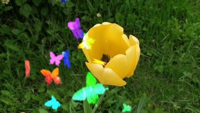 9 Мая ✨🙏☀️