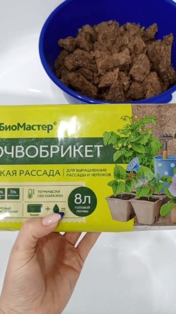 грунт для глоксиний