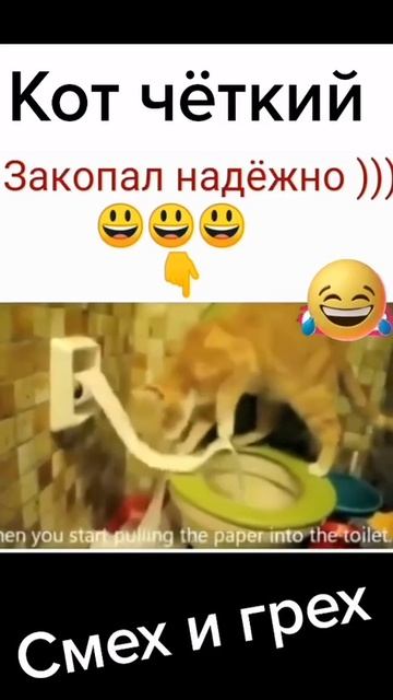 Надёжно закопал😂😂😂