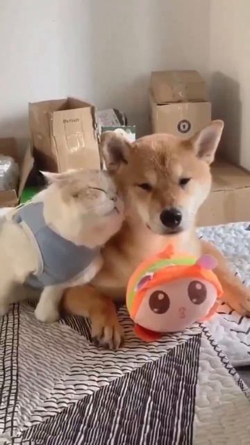 Друзья❤️