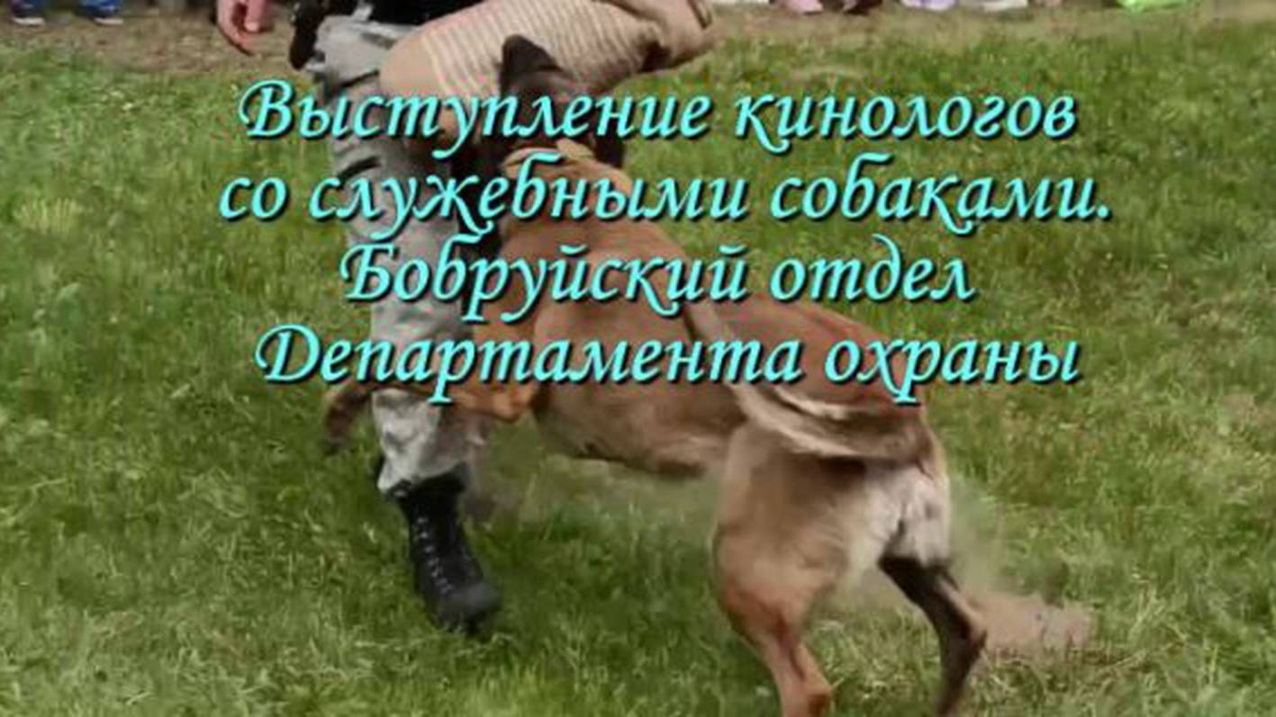 Кинологи