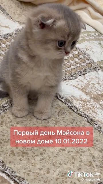 где он?