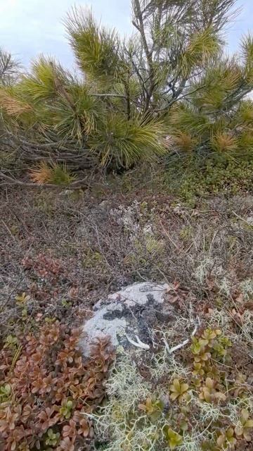 красота урала ,весна пробуждение