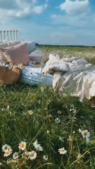Если у вас есть мечта, не сидите просто так.