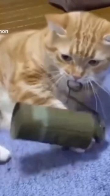 Не дочитал журнал 😂 #like #top #video #smile #funny #граната