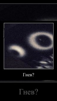 Неко Арк допрашивает тебя (Демотиватор) #necoarc #demotivator #sho
