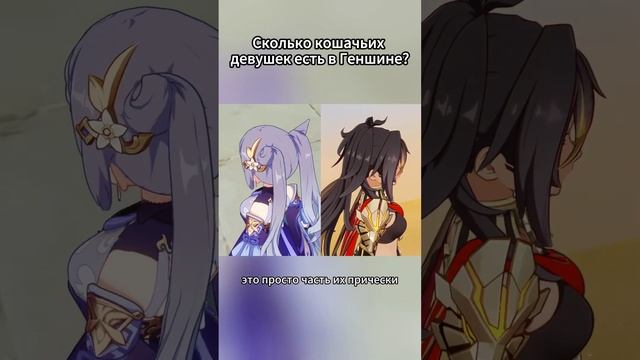 Сколько кошачьих девушек есть в геншине?
