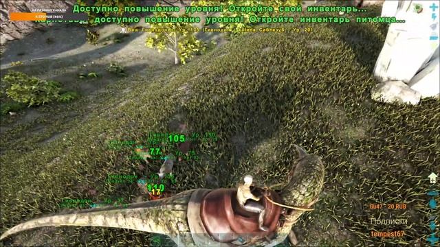 СТРОИМ ДОМ! СТРИМ по ARK: Survival Evolved Crystal Isles