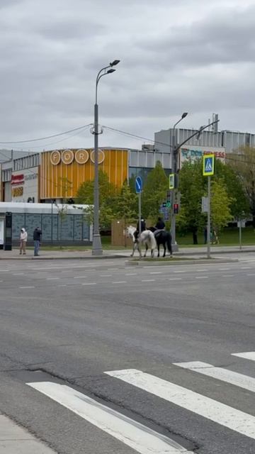 Гужевой транспорт.