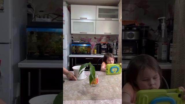Домашние дела. Веселый вечер