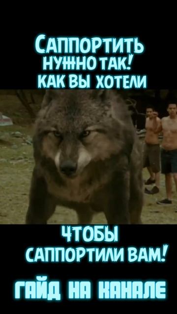Жи есть гайд