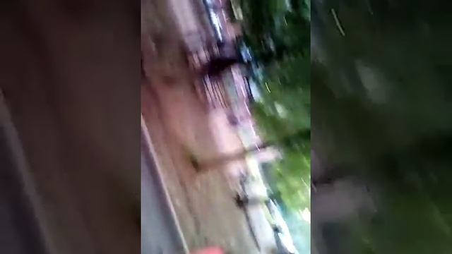 Гонки читеры