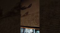 1418 шагов к Победе. Мемориал "Дорога памяти". 9 мая 2025 г. - 80 лет Великой Победы!
