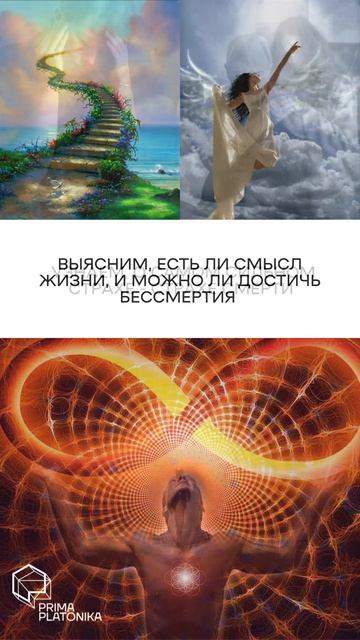 Вечные вопросы. Разговоры о ВЕТХОМ ЗАВЕТЕ.