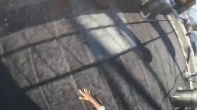 Watch Dogs 2 дата выхода