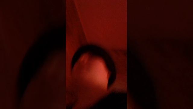 Вот так и нюхай батину шапку