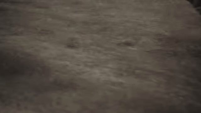 «С родными вместе я приду»