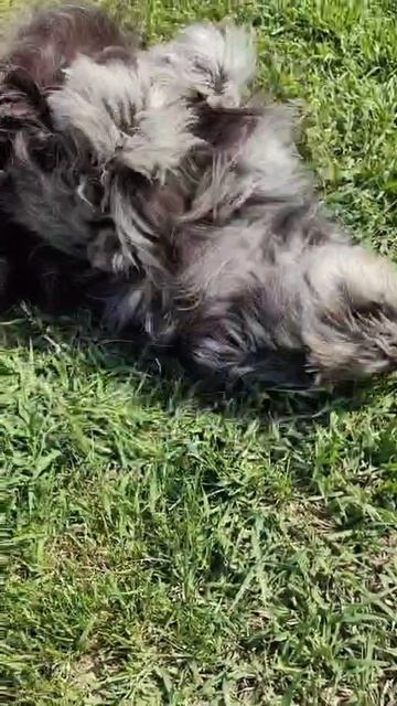 1000020293.mp4