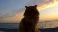 Отдых в Сочи в несезон. Имеретинская набережная, пляжи Сириуса. Курорты Чёрного моря-2025