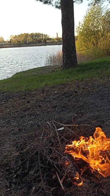 как у нас на пруду