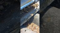 что-то не понятное но очень интересное