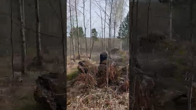 VID-20250509-WA0019.mp4
